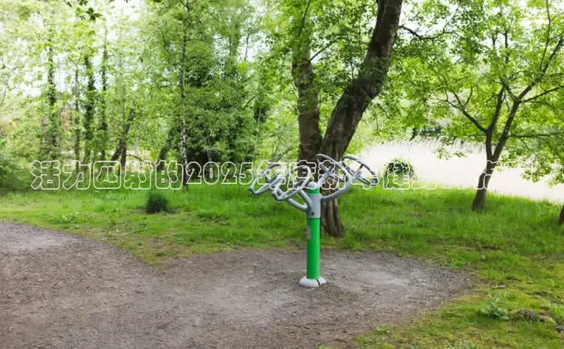 天生赢家凯发一触即发小说