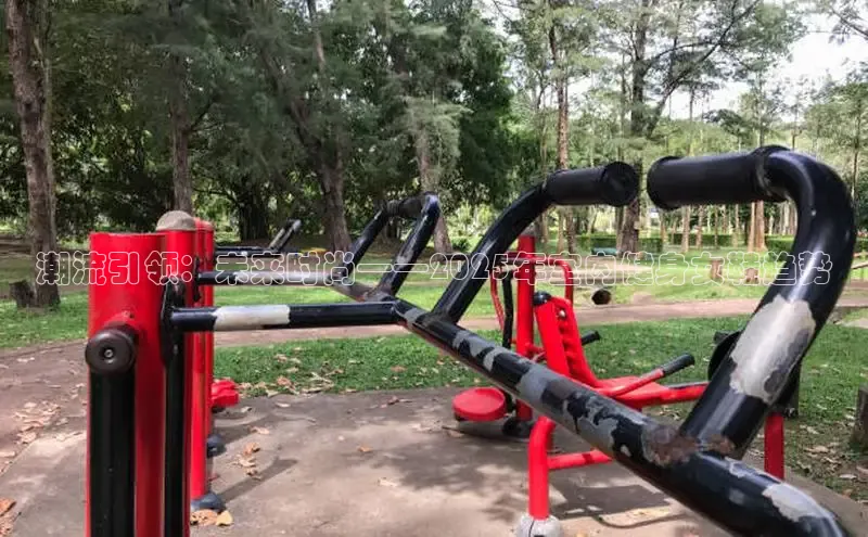 天生赢家凯发一触即发小说